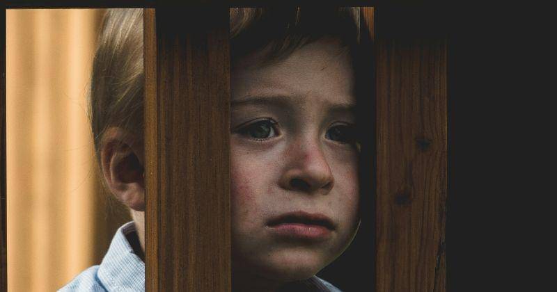 Unsplash/Tadeusz Lakota